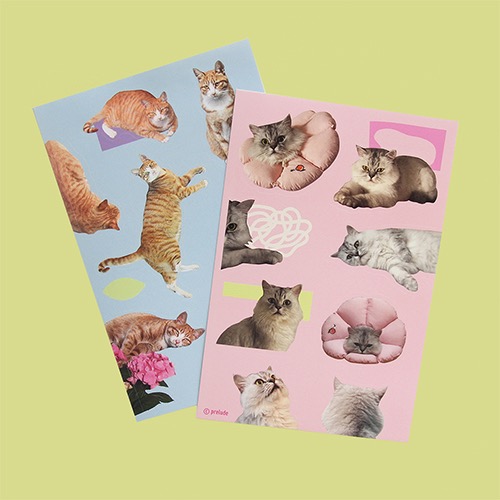 Studio Cat Sticker